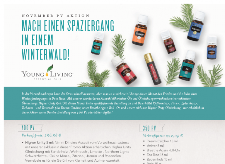Mehr über den Artikel erfahren Deine Promo-Aktionen für November-2018